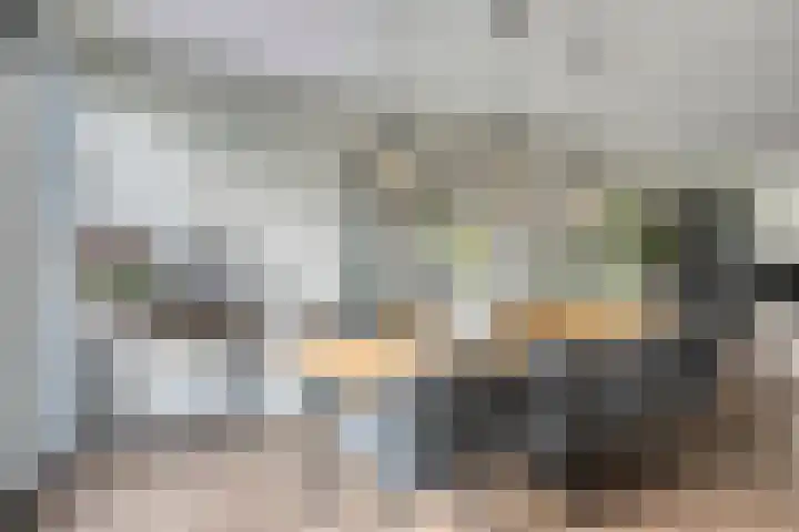 Jol 12 Meppel thumbnail 15
