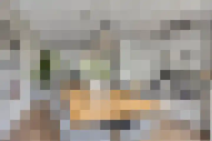 Jol 12 Meppel thumbnail 16