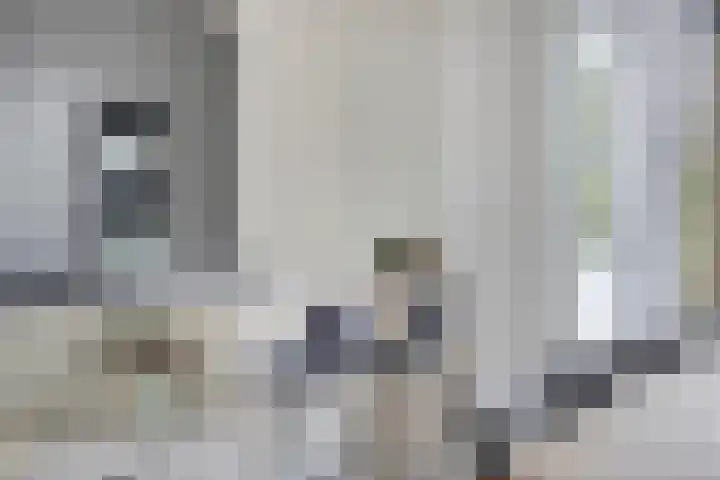 Jol 12 Meppel thumbnail 18