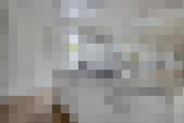 Jol 12 Meppel thumbnail 20