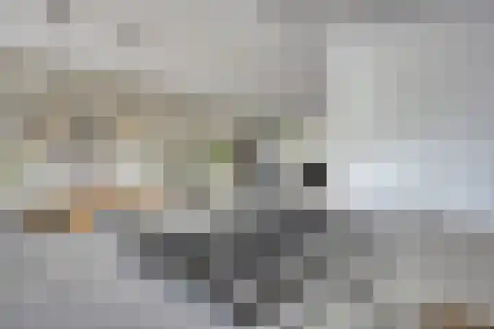 Jol 12 Meppel thumbnail 21