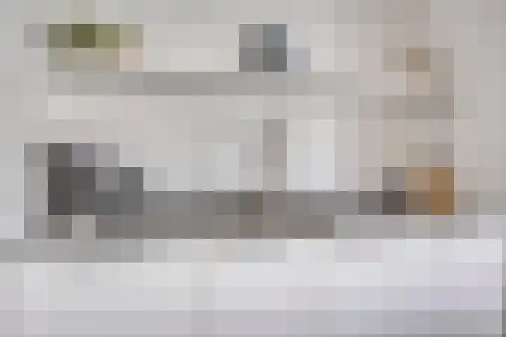 Jol 12 Meppel thumbnail 22