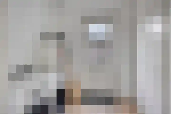 Jol 12 Meppel thumbnail 24