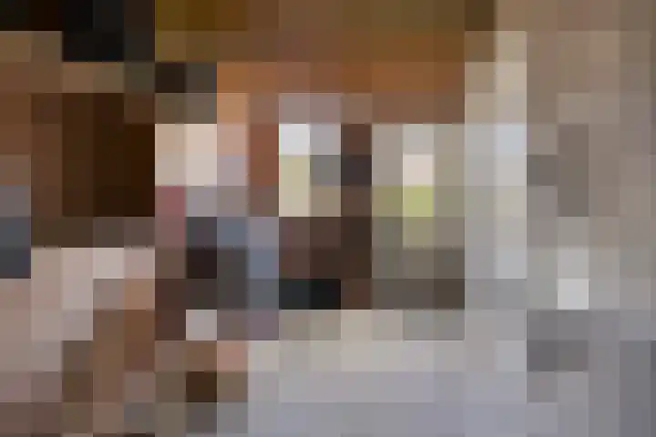 Jol 12 Meppel thumbnail 25