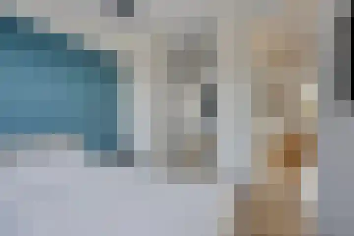Jol 12 Meppel thumbnail 29