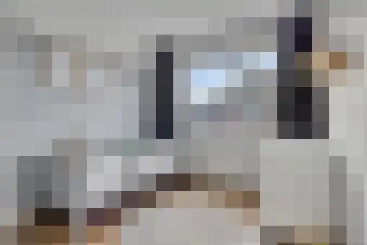 Jol 12 Meppel thumbnail 33