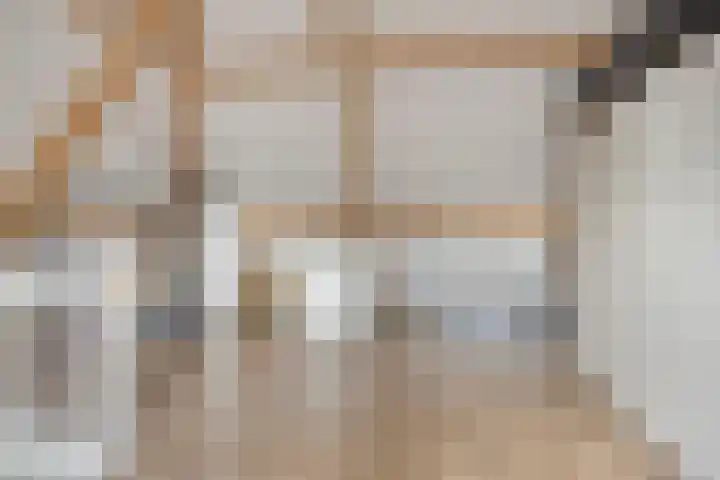 Jol 12 Meppel thumbnail 37