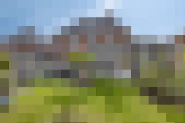Jol 12 Meppel thumbnail 4