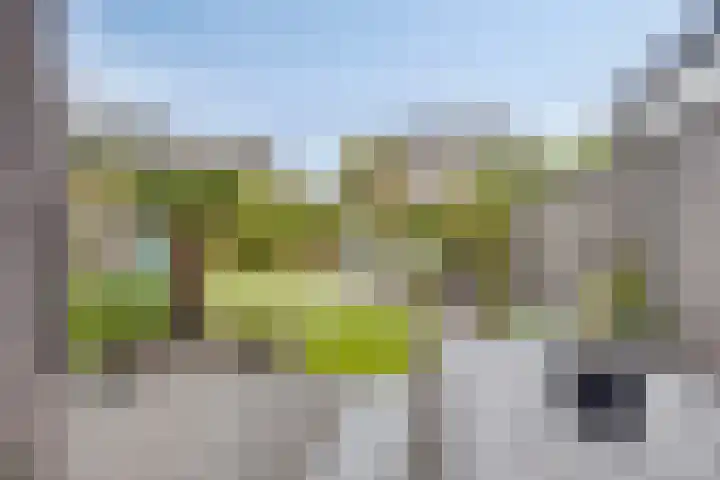 Jol 12 Meppel thumbnail 40