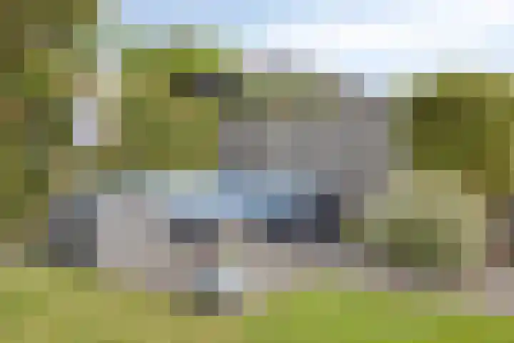 Jol 12 Meppel thumbnail 41