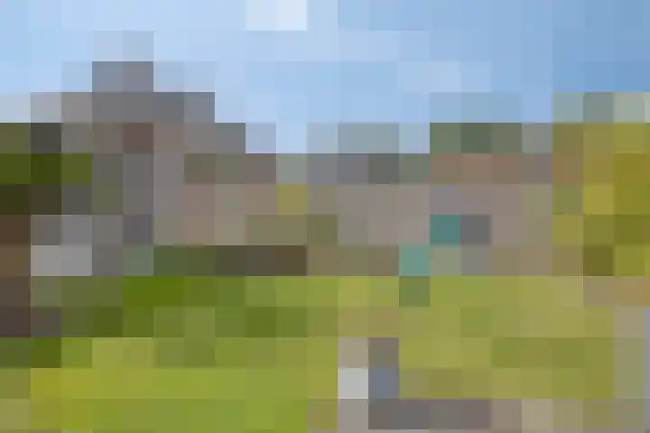Jol 12 Meppel thumbnail 42