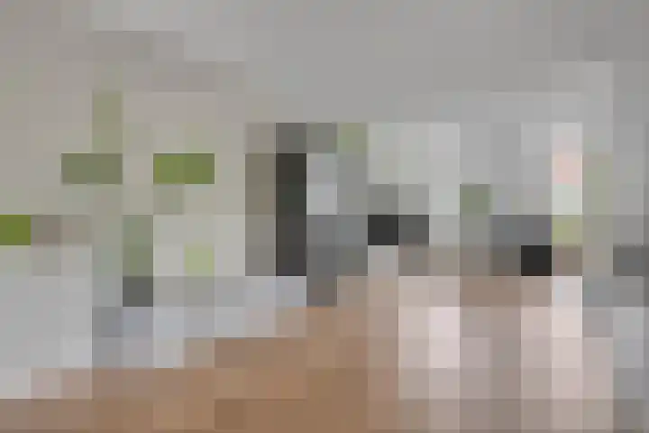 Jol 12 Meppel thumbnail 6