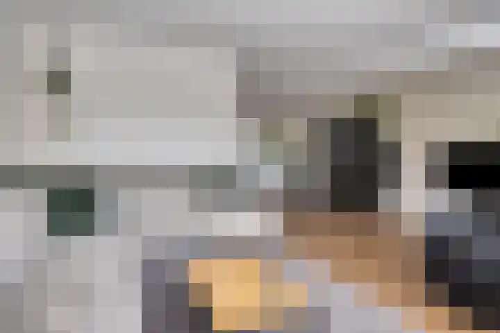 Jol 12 Meppel thumbnail 9