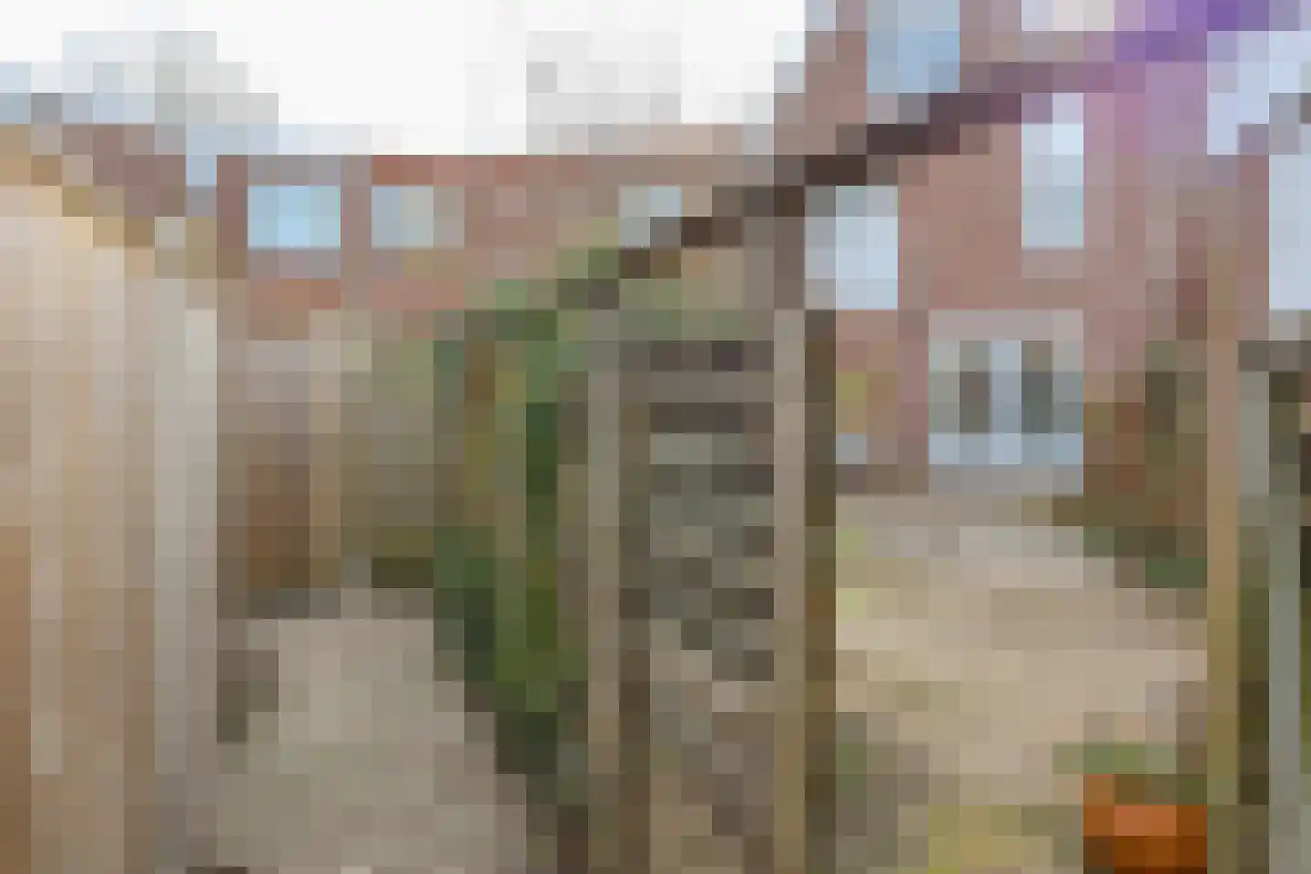 Jol 13 13 25 Lelystad thumbnail 43