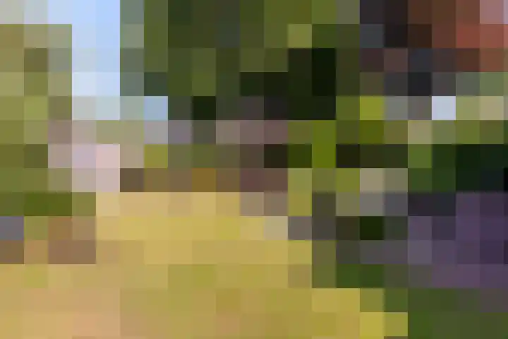 Jol 13 13 36 Lelystad thumbnail 24