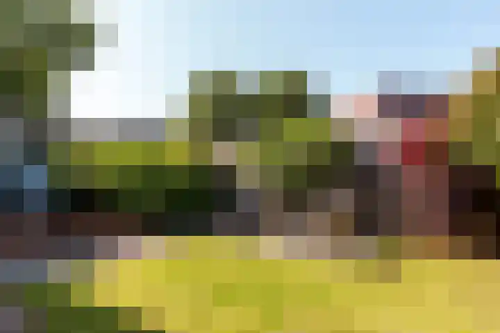 Jol 13 13 36 Lelystad thumbnail 25