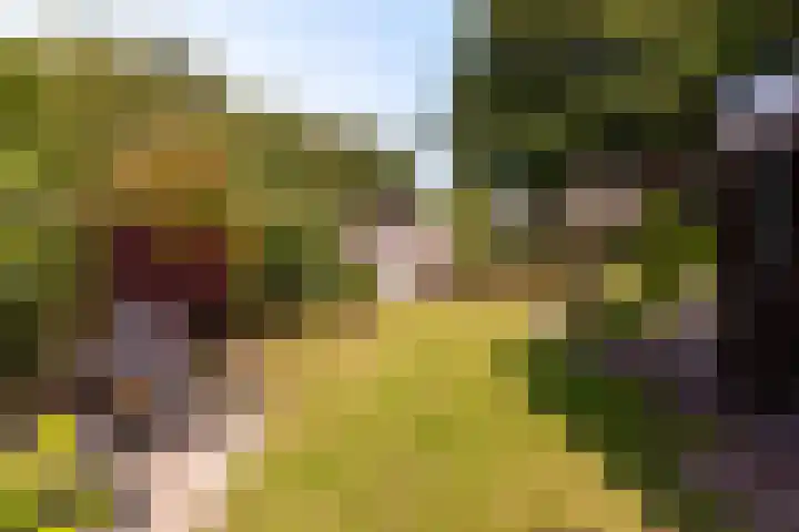 Jol 13 13 36 Lelystad thumbnail 26