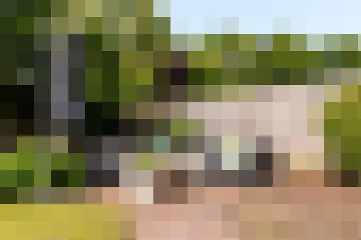 Jol 13 13 36 Lelystad thumbnail 27