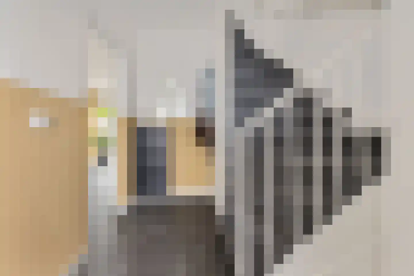 Jol 13 Heerenveen thumbnail 14