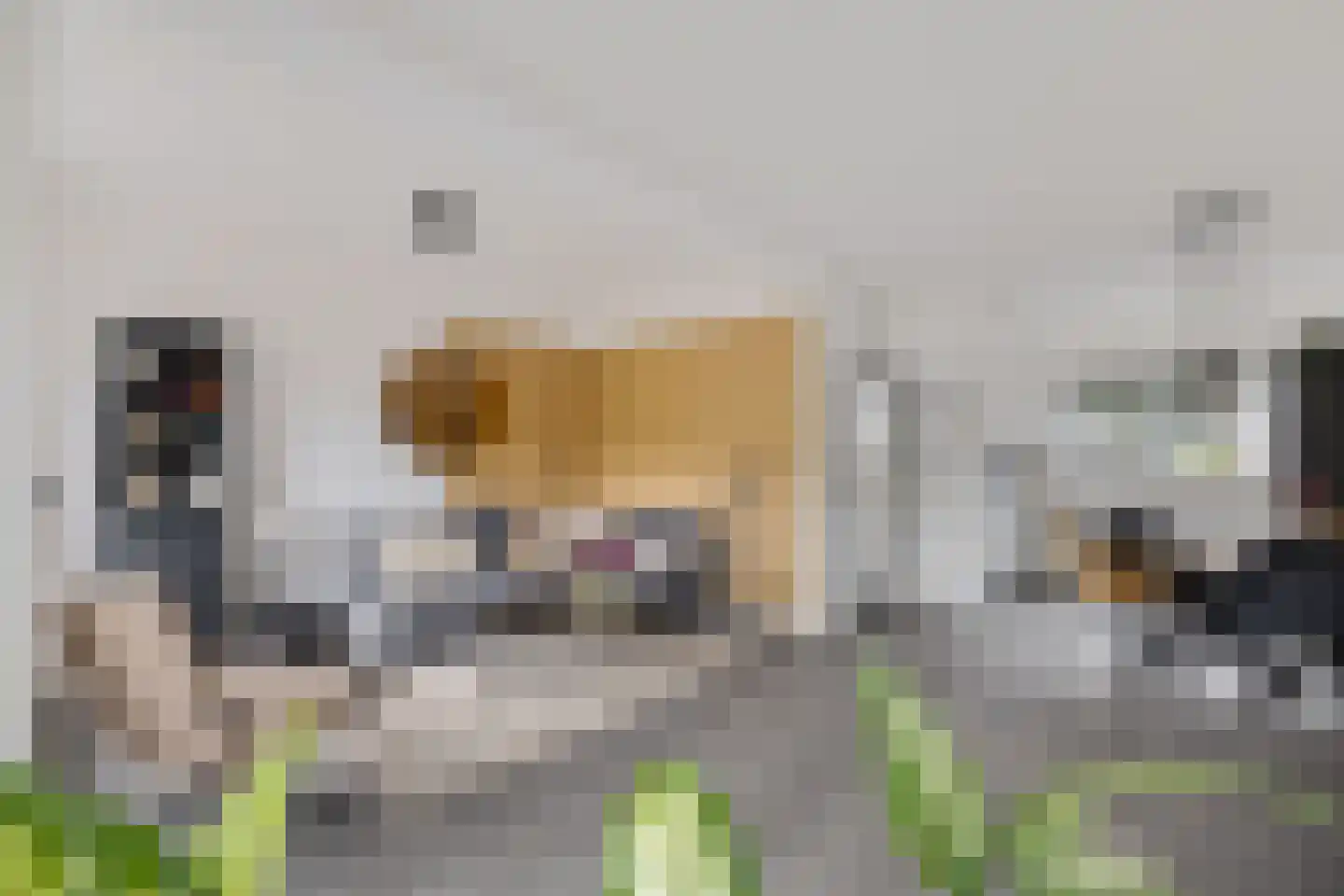Jol 13 Heerenveen thumbnail 16