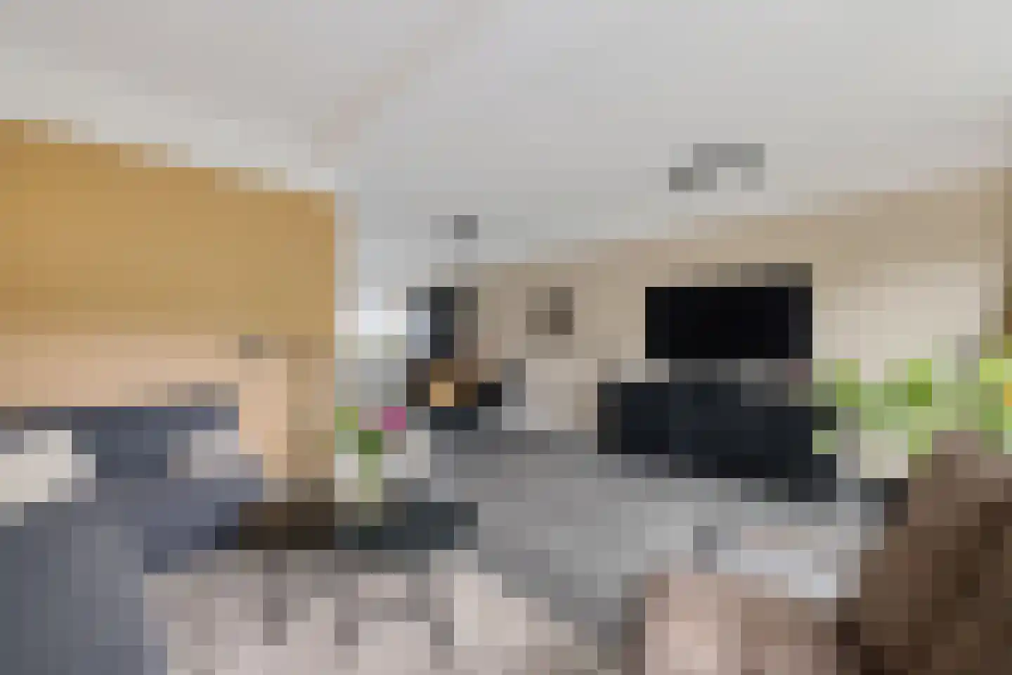 Jol 13 Heerenveen thumbnail 17