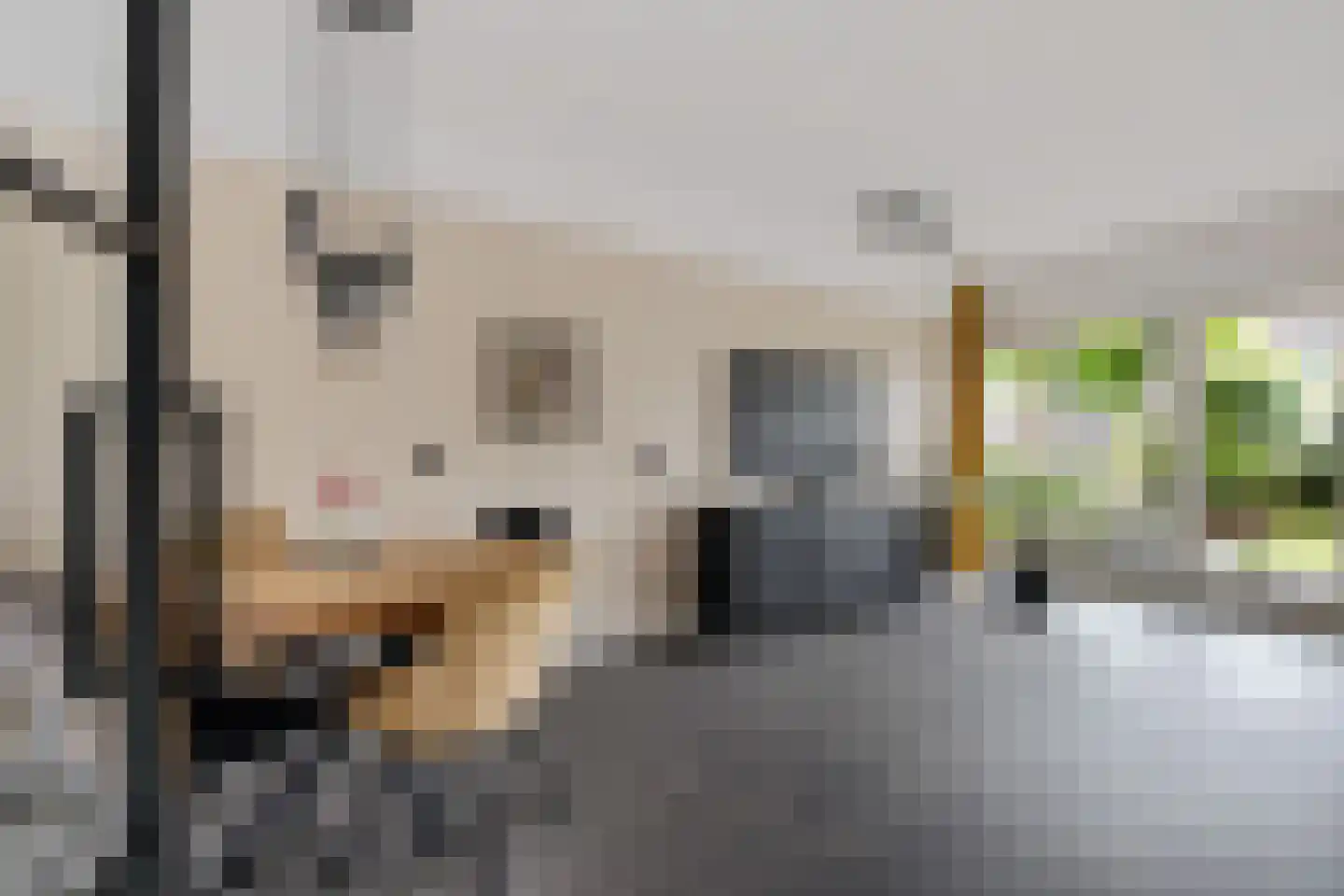 Jol 13 Heerenveen thumbnail 20