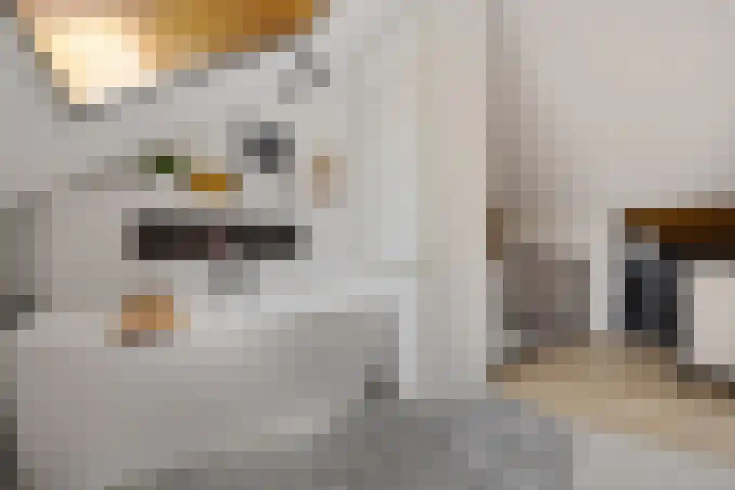 Jol 13 Heerenveen thumbnail 31