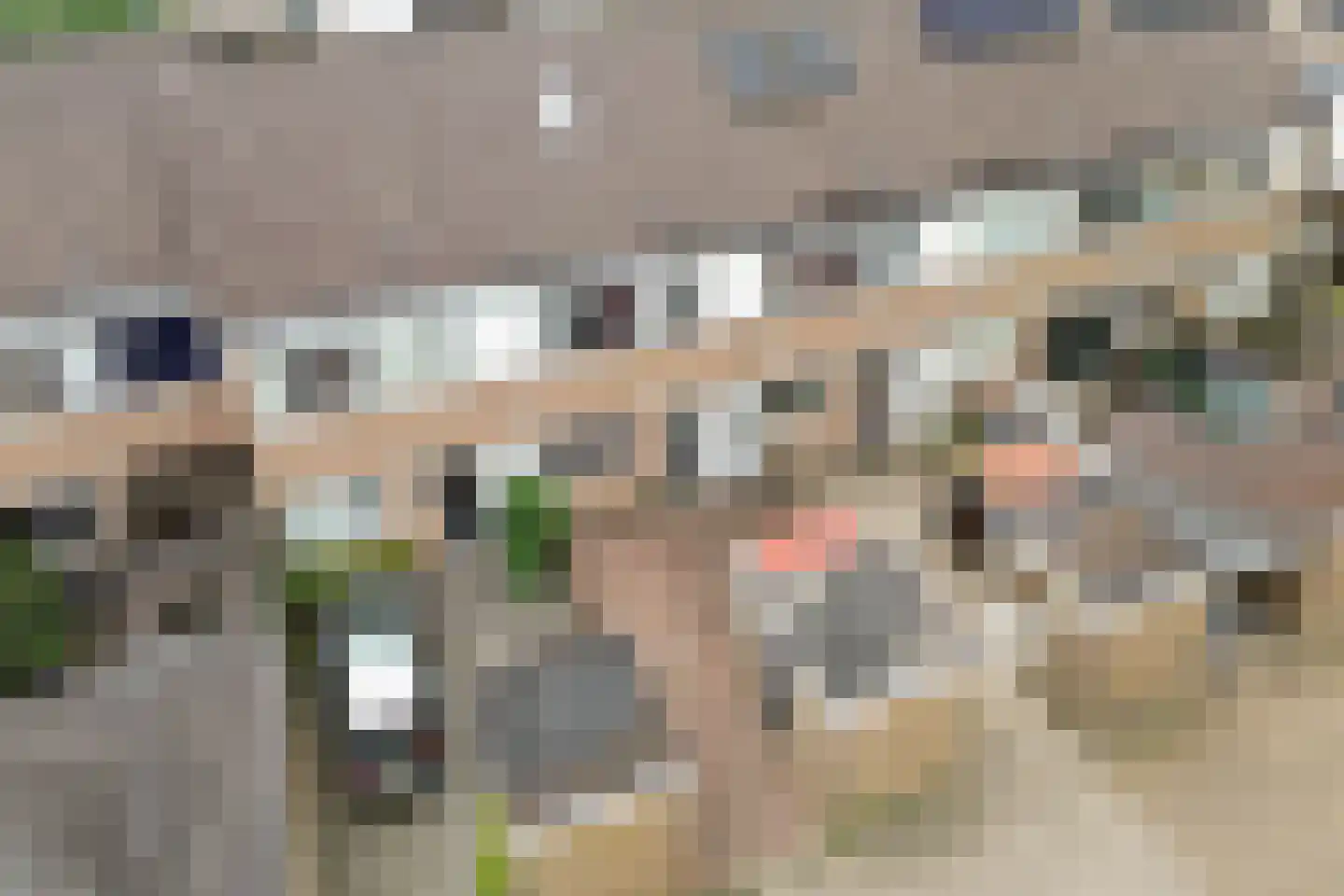 Jol 13 Heerenveen thumbnail 39