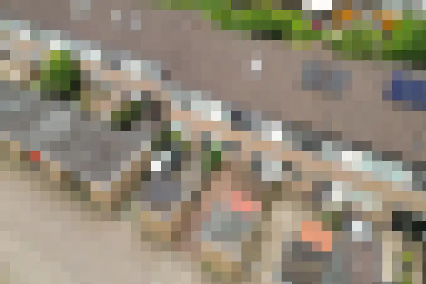Jol 13 Heerenveen thumbnail 40
