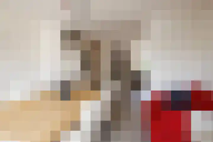 Jol 14 14 32 Lelystad thumbnail 15