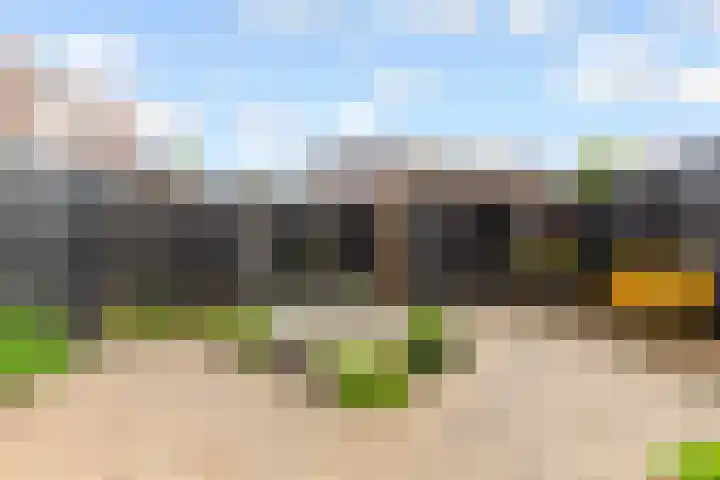 Jol 14 14 34 Lelystad thumbnail 36