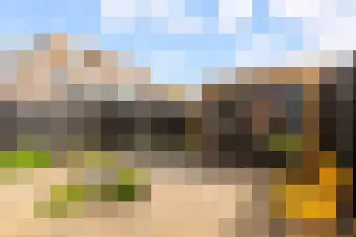 Jol 14 14 34 Lelystad thumbnail 40