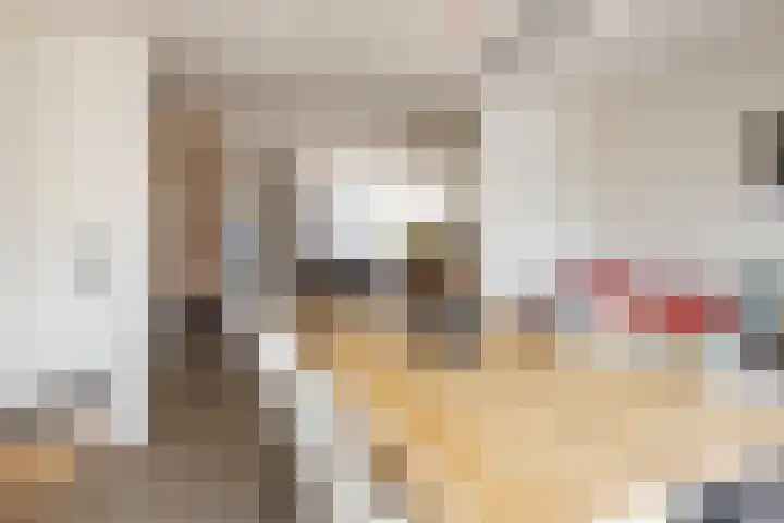 Jol 14 32 Lelystad thumbnail 14