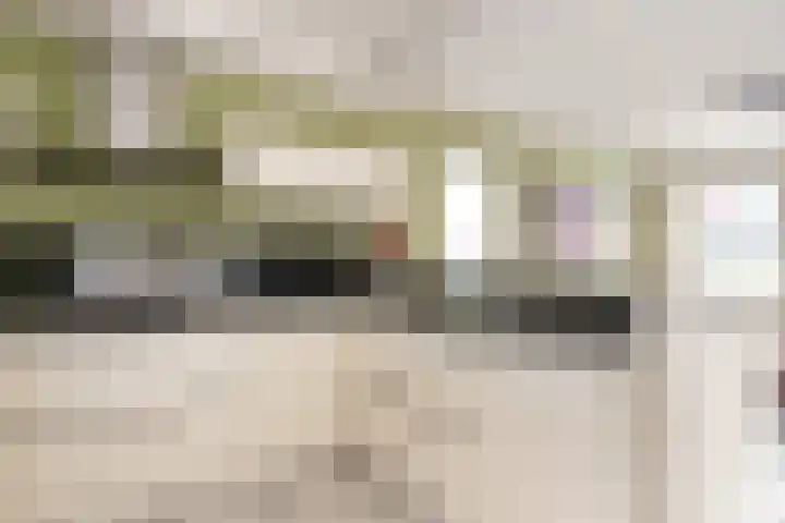 Jol 14 34 Lelystad thumbnail 16