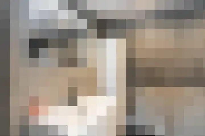 Jol 14 34 Lelystad thumbnail 32