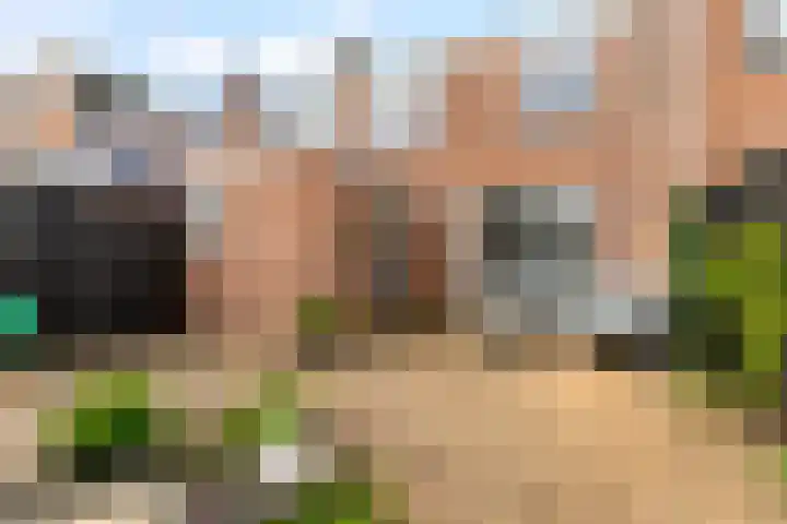 Jol 14 34 Lelystad thumbnail 35
