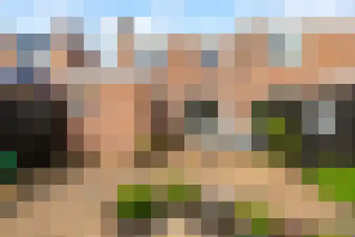Jol 14 34 Lelystad thumbnail 37