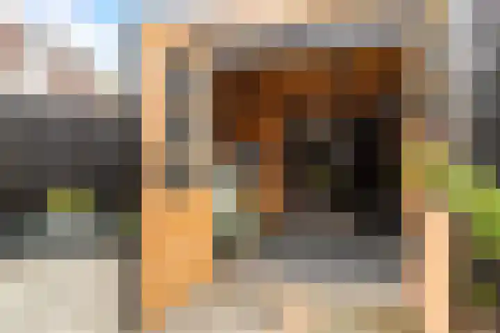 Jol 14 34 Lelystad thumbnail 41