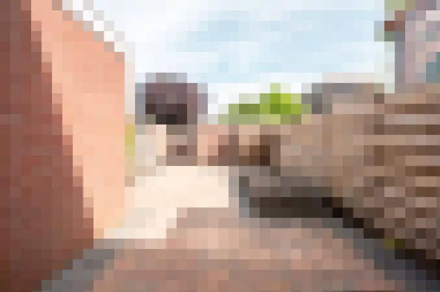 Jol 14 5 Lelystad thumbnail 12