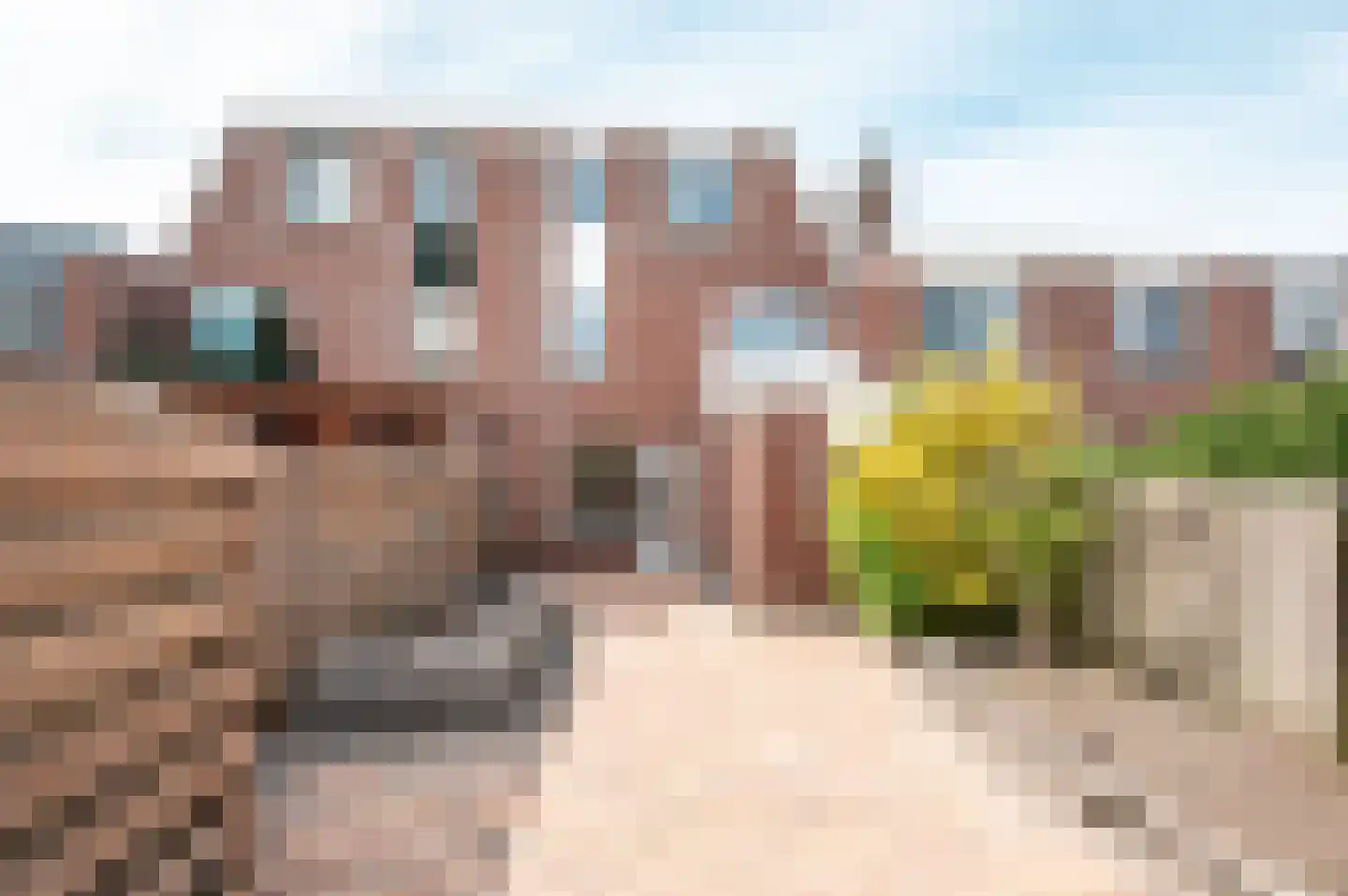 Jol 14 5 Lelystad thumbnail 14