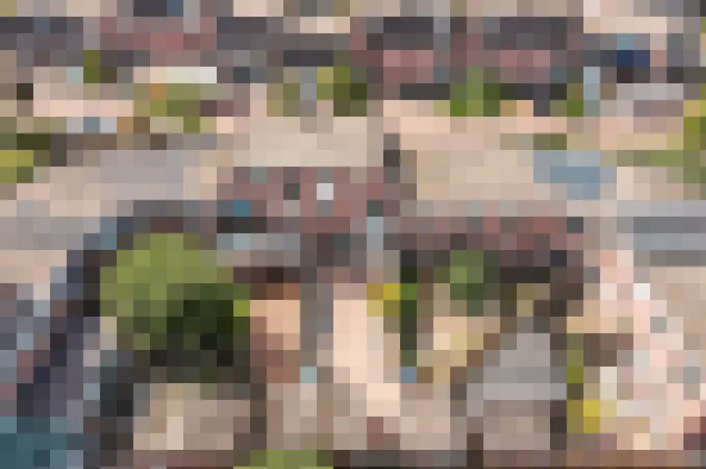 Jol 14 5 Lelystad thumbnail 47