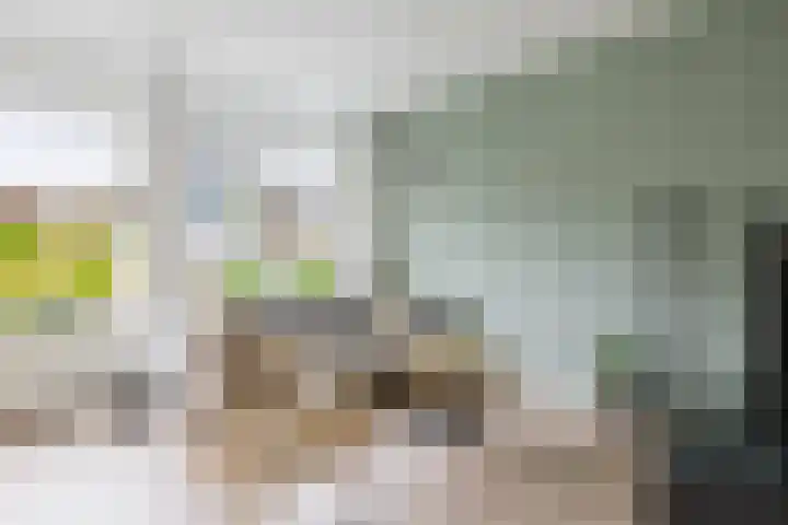 Jol 14 Heerenveen thumbnail 20