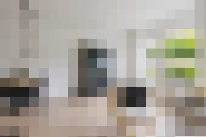 Jol 14 Heerenveen thumbnail 21