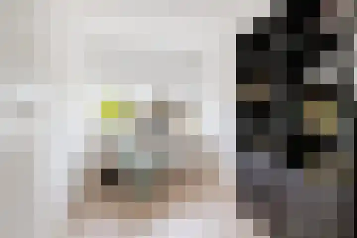 Jol 14 Heerenveen thumbnail 36