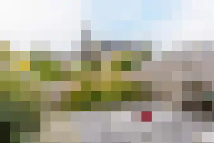Jol 14 Heerenveen thumbnail 43