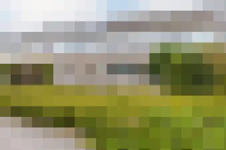 Jol 14 Heerenveen thumbnail 9