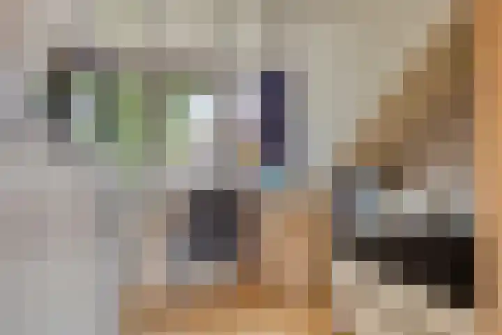 Jol 143 Amstelveen thumbnail 20