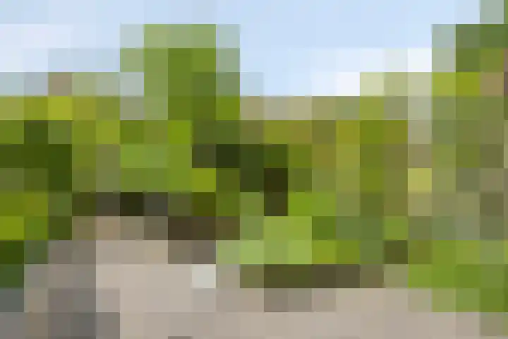 Jol 143 Amstelveen thumbnail 22