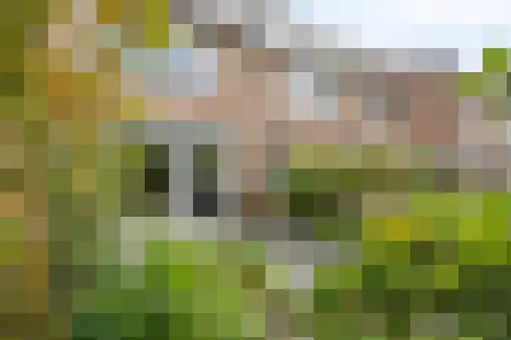 Jol 143 Amstelveen thumbnail 23