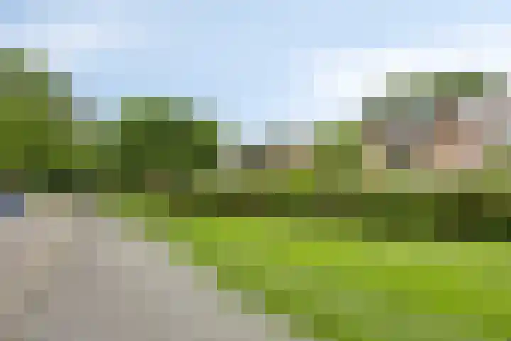Jol 143 Amstelveen thumbnail 24